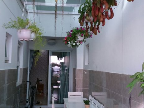 Lắp đặt hệ thống máy phun sương tưới hoa