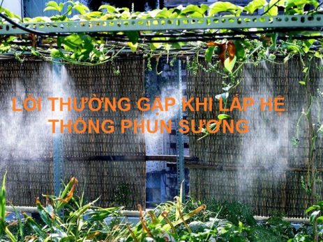 Lỗi thường gặp khi lắp hệ thống phun sương