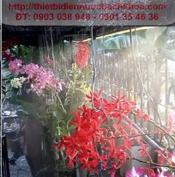 Lắp đặt hệ thống phun sương tưới lan