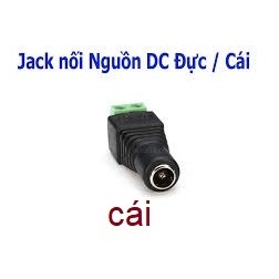 jack-cai